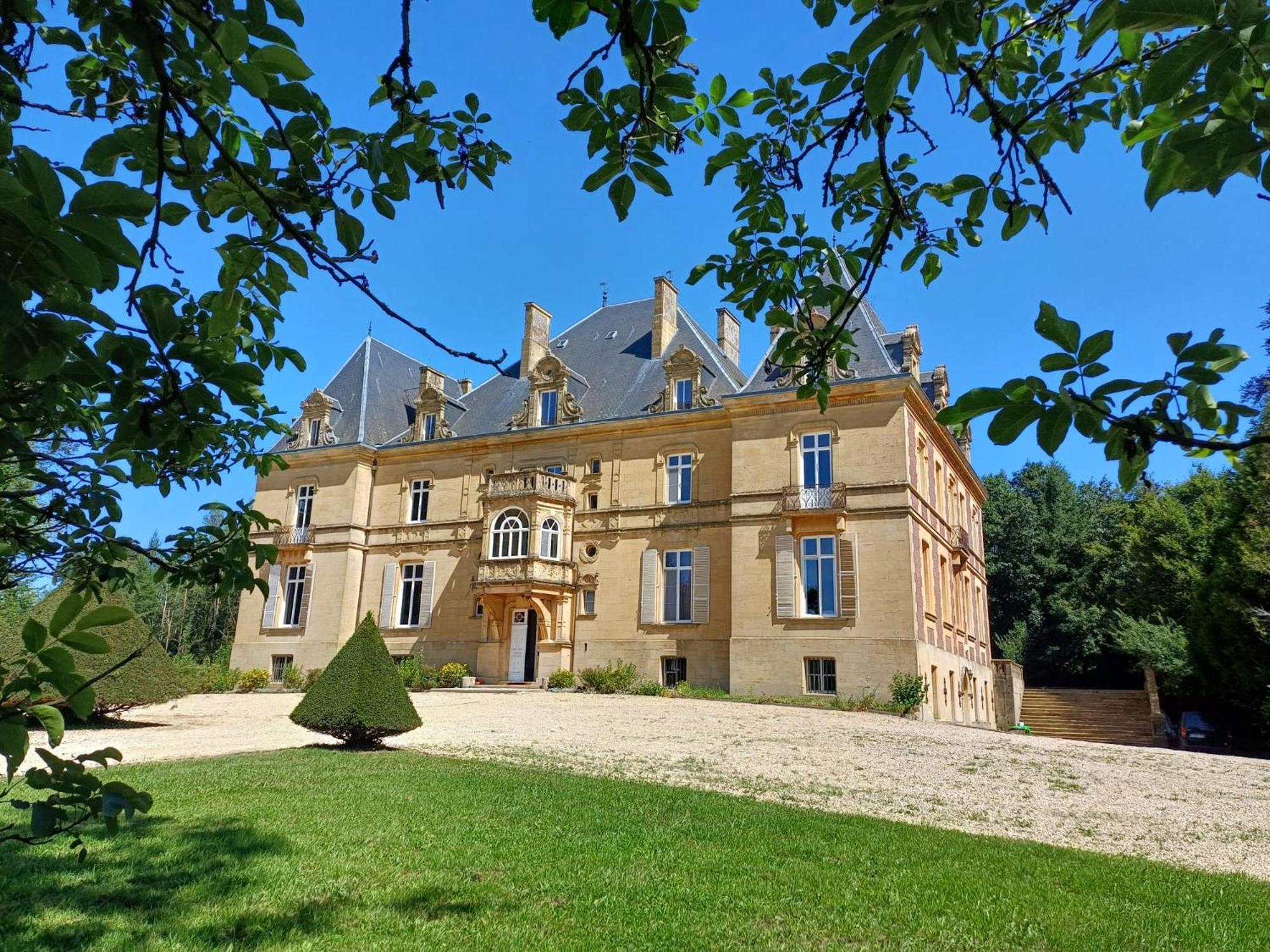 Chateau De Laclaireau วีร์ตง ภายนอก รูปภาพ